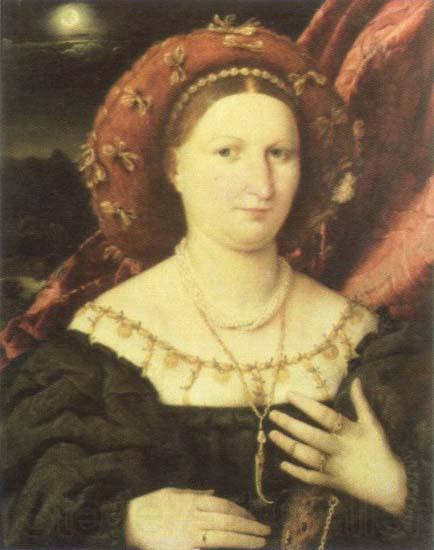 Lorenzo Lotto portrait of lucina brembati Germany oil painting art